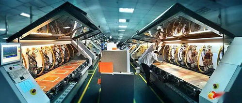 且看龍南綻芳華